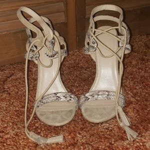 Charlotte russe hells